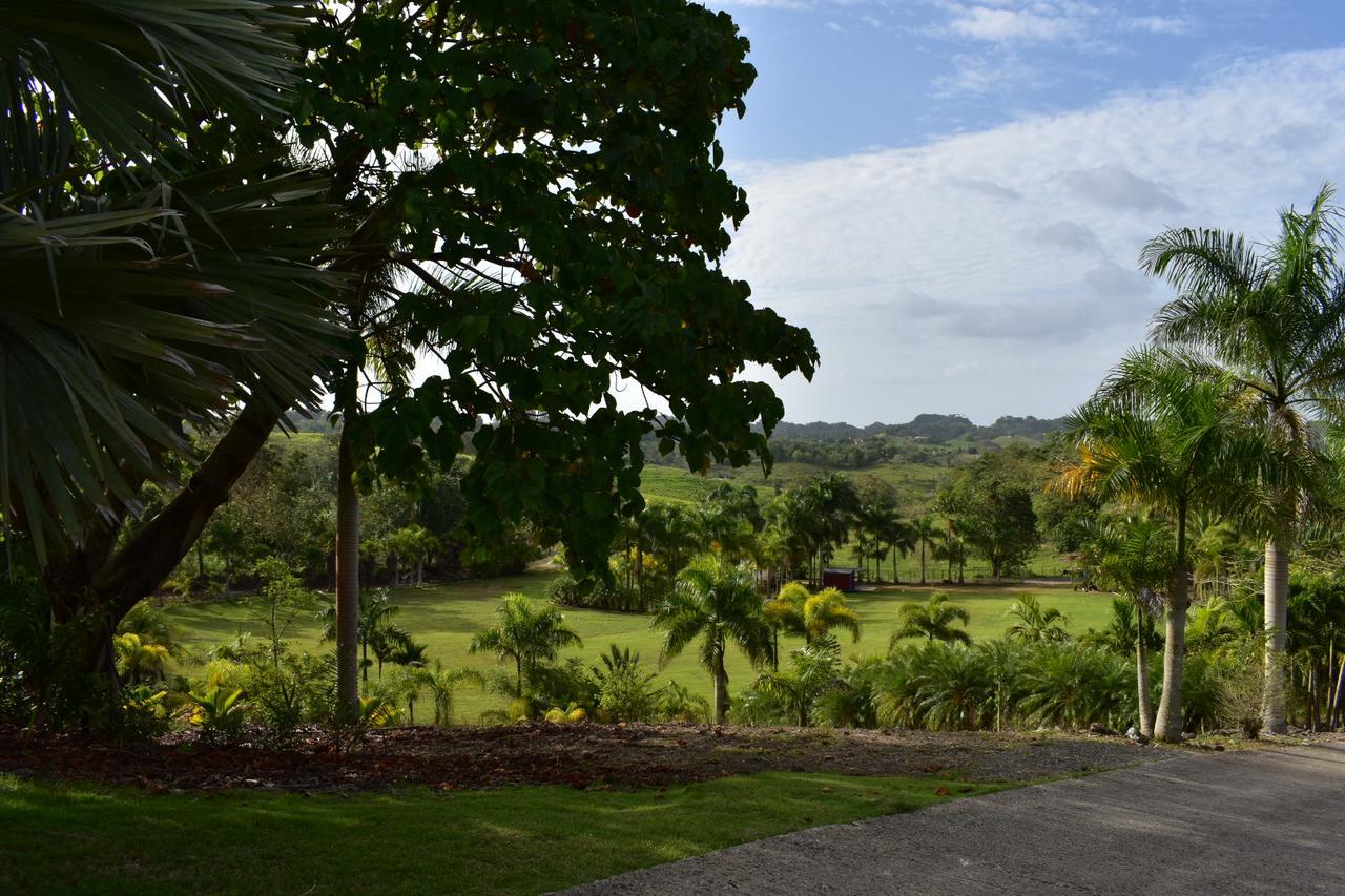 Hotel Hacienda Agroturistico Vista Hermosa Camuy 外观 照片